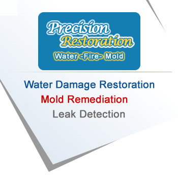 Water & Mold restoration Long Island