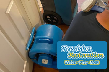 Mold remdiation in Long Island